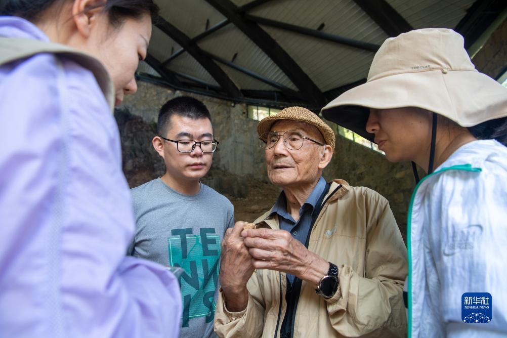 白菜网搏壹巴